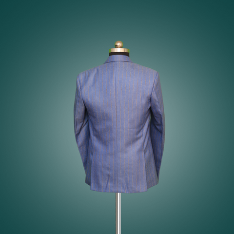 Back View Of Blue Striped Blazer Mens